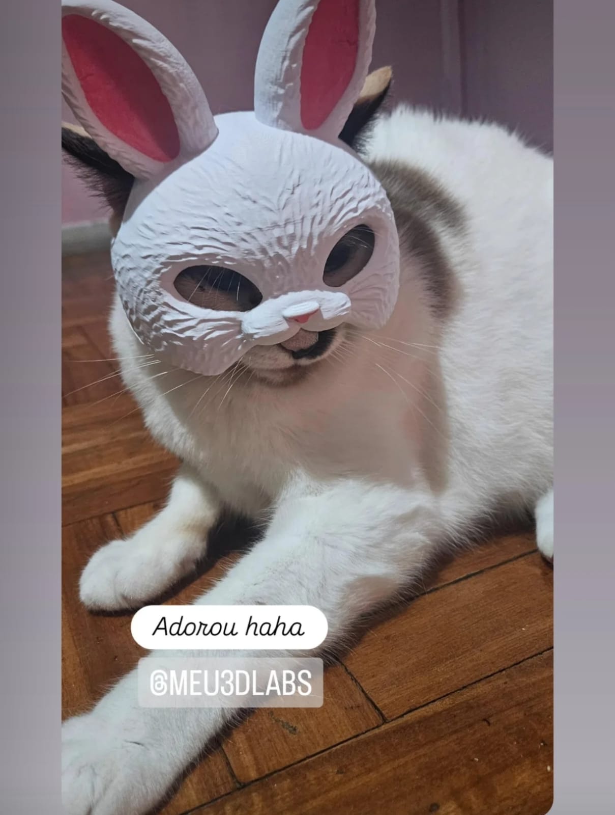 Story de cliente satisfeito com pedido